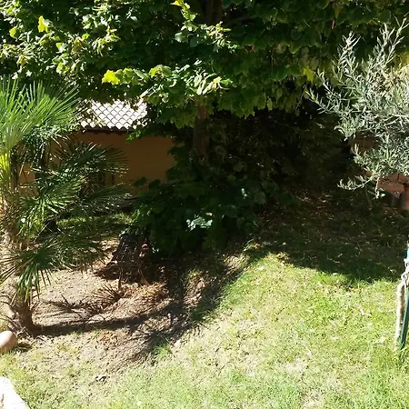 Agriturismo Bio Fattoria Le Origini Farm stay *
