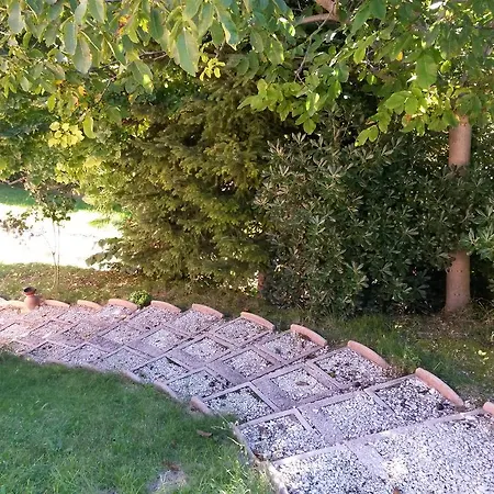 Lantgård Agriturismo Bio Fattoria Le Origini San Severino Marche