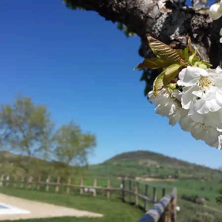 Gospodarstwo agroturystyczne Agriturismo Bio Fattoria Le Origini
